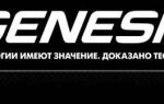 Лукойл Генезис: достоинства и недостатки, общая характеристика